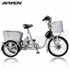 RAYCH 三輪電動車36V9A/前驅/內3速/全電動模式-銀